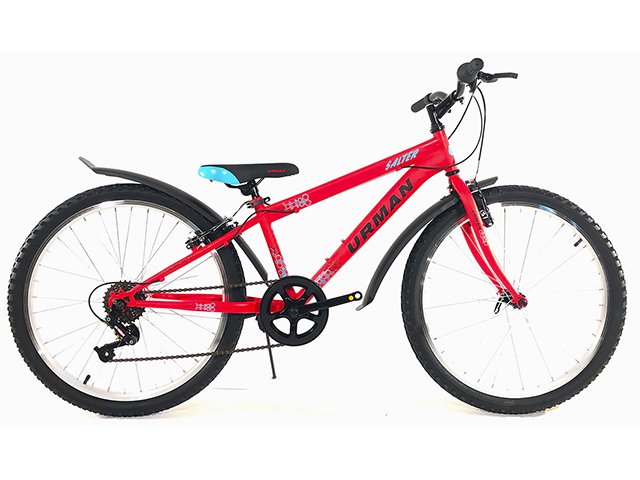 Велосипед 24 URMAN ECONOMIC BIKE-24 SALTER (красный)